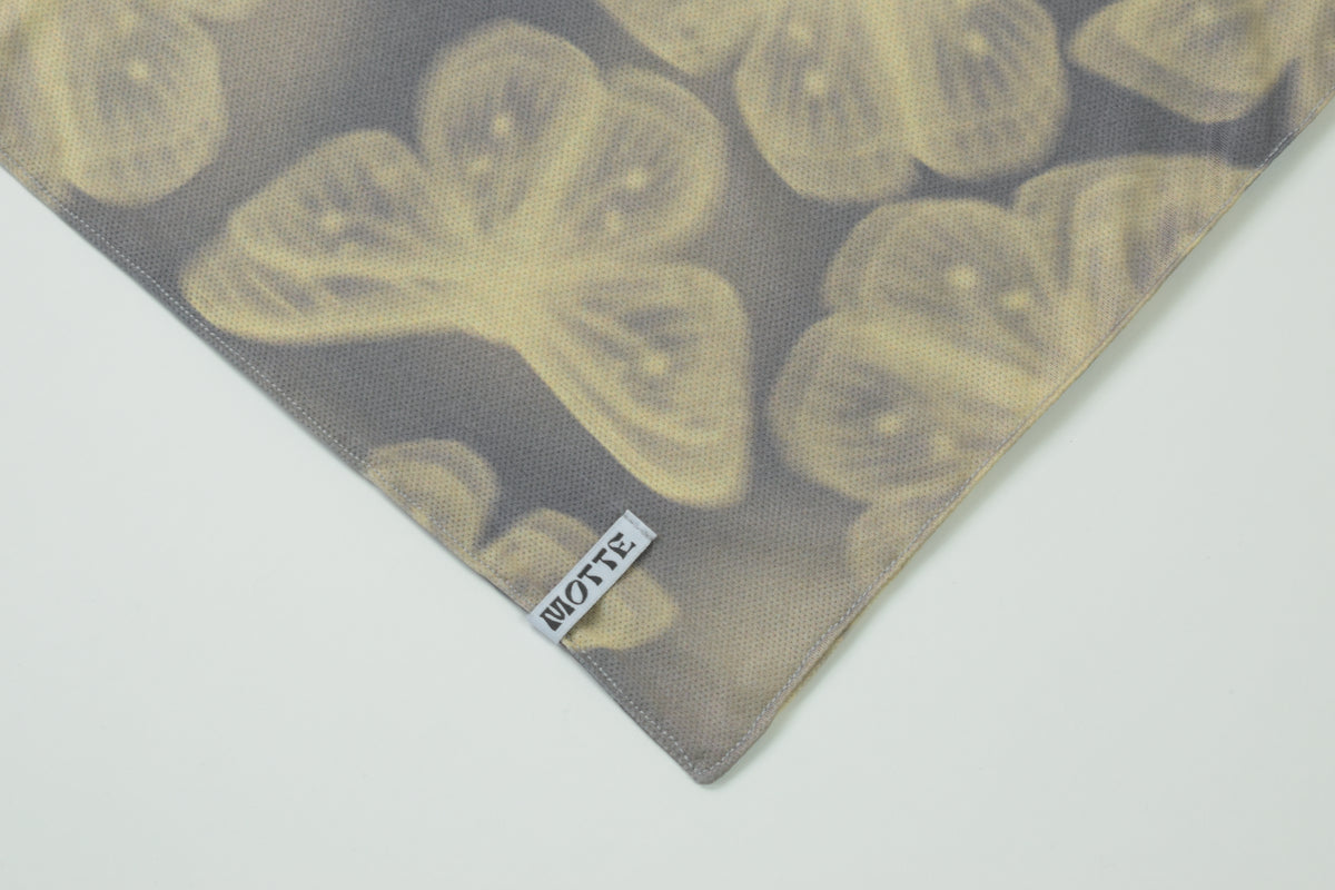 MOTTE BANDANA 001